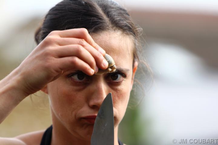 Diapositive suivante